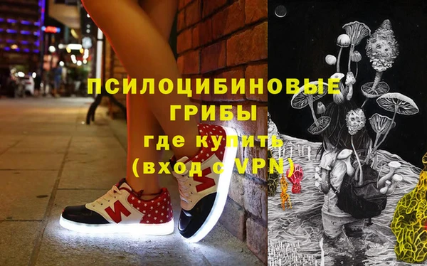 a pvp Белокуриха