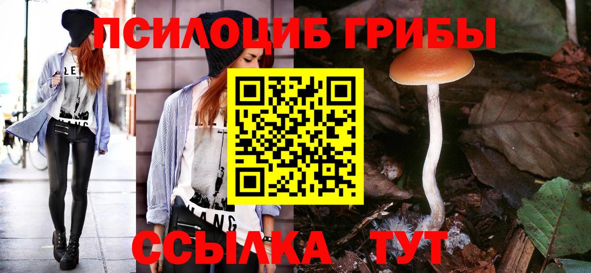 Галлюциногенные грибы Magic Shrooms Валуйки