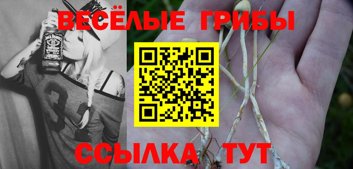 Псилоцибиновые грибы ЛСД  Валуйки  Галлюциногенные грибы мухоморы 