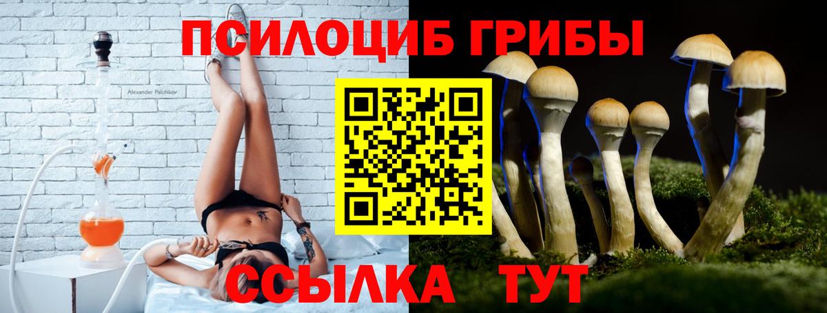 Валуйки  Псилоцибиновые грибы Cubensis  Псилоцибиновые грибы мицелий  Вход с VPN 